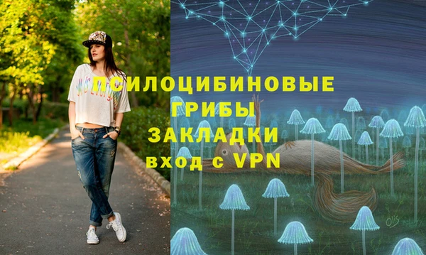 сатива Абдулино