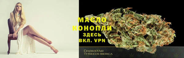 сатива Абдулино