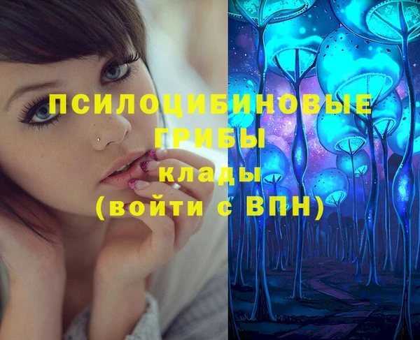 mdpv Ладушкин